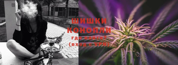 сатива Абаза