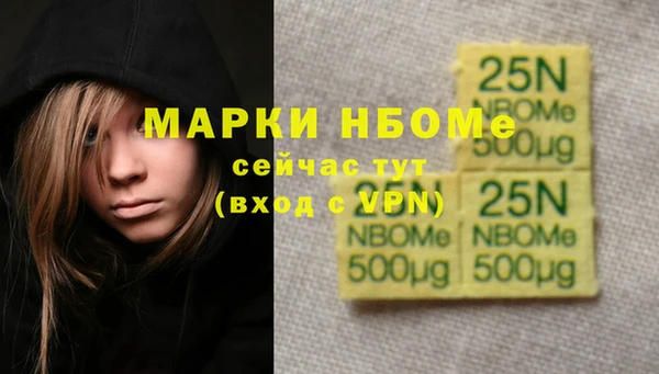 сатива Абаза