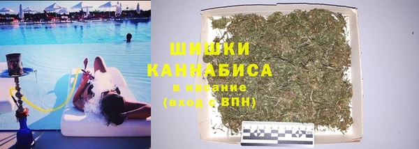 сатива Абаза