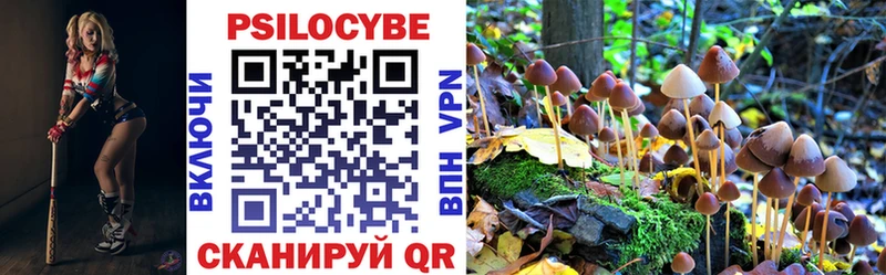 Галлюциногенные грибы прущие грибы  МЕГА как зайти  Агрыз 